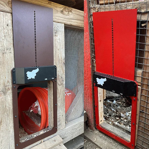 CoopGate - Automatic Chicken Coop Door