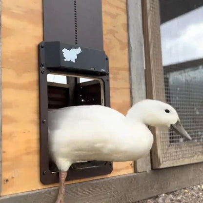 CoopGate - Automatic Chicken Coop Door