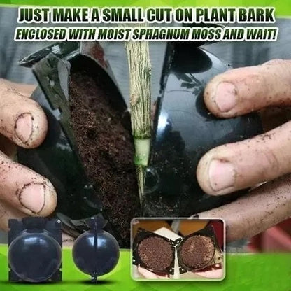 Root Growth Propagator