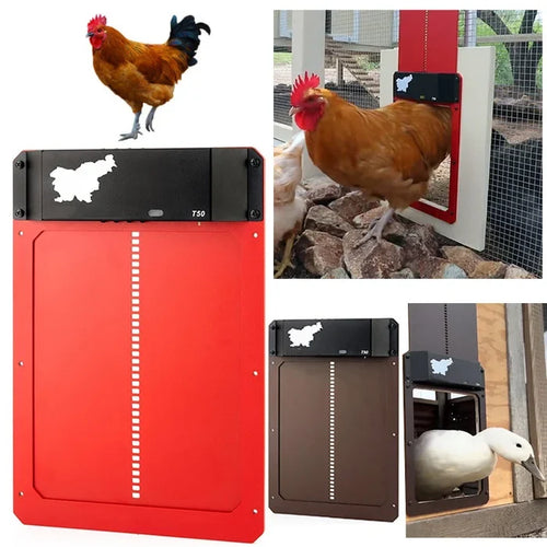 CoopGate - Automatic Chicken Coop Door