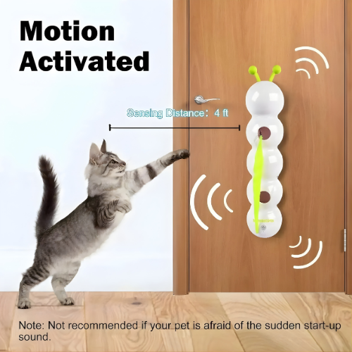 Whisker Whirl Toy