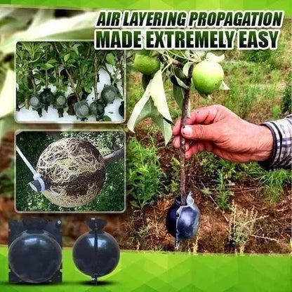 Root Growth Propagator