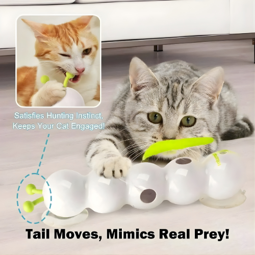Whisker Whirl Toy