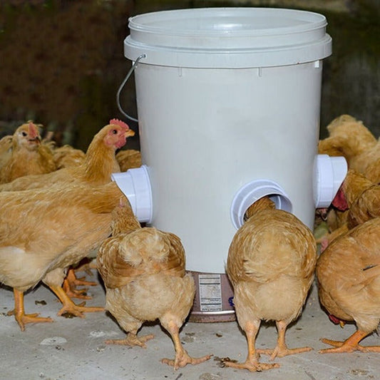 PeckFlow - DIY Chicken Feeder