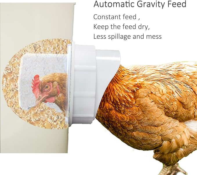 PeckFlow - DIY Chicken Feeder