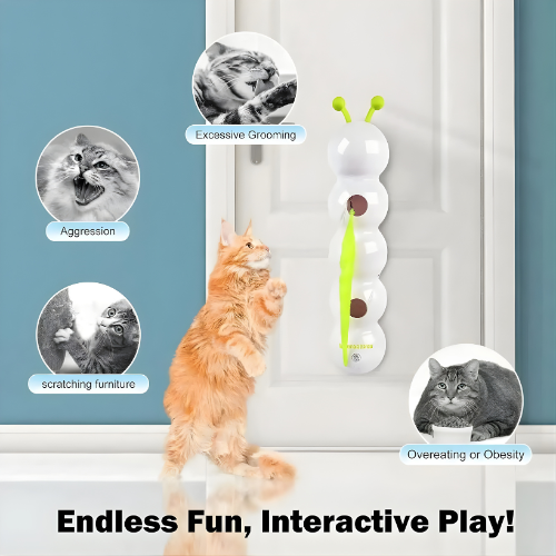 Whisker Whirl Toy