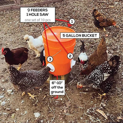 PeckFlow - DIY Chicken Feeder