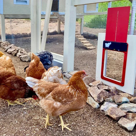 CoopGate - Automatic Chicken Coop Door