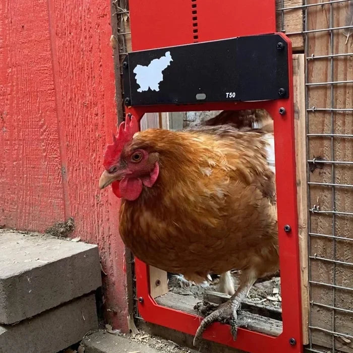 CoopGate - Automatic Chicken Coop Door