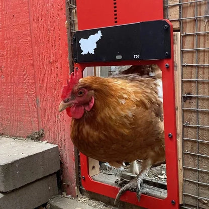 CoopGate - Automatic Chicken Coop Door