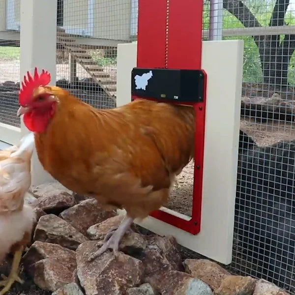 CoopGate - Automatic Chicken Coop Door