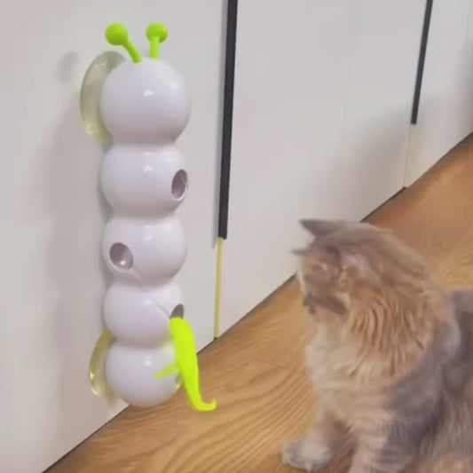 Whisker Whirl Toy