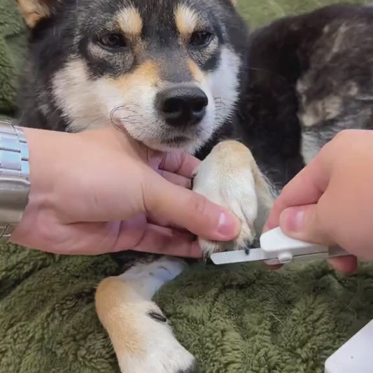Precision LED Pet Nail Clipper